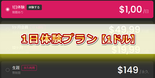 JAVHD1日体験プランの特徴